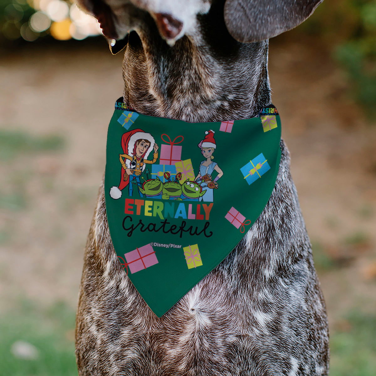 Pet Bandana - Toy Story ETERNALLY GRATEFUL Holiday Pose and Icons Multi Color Pet Bandanas Disney