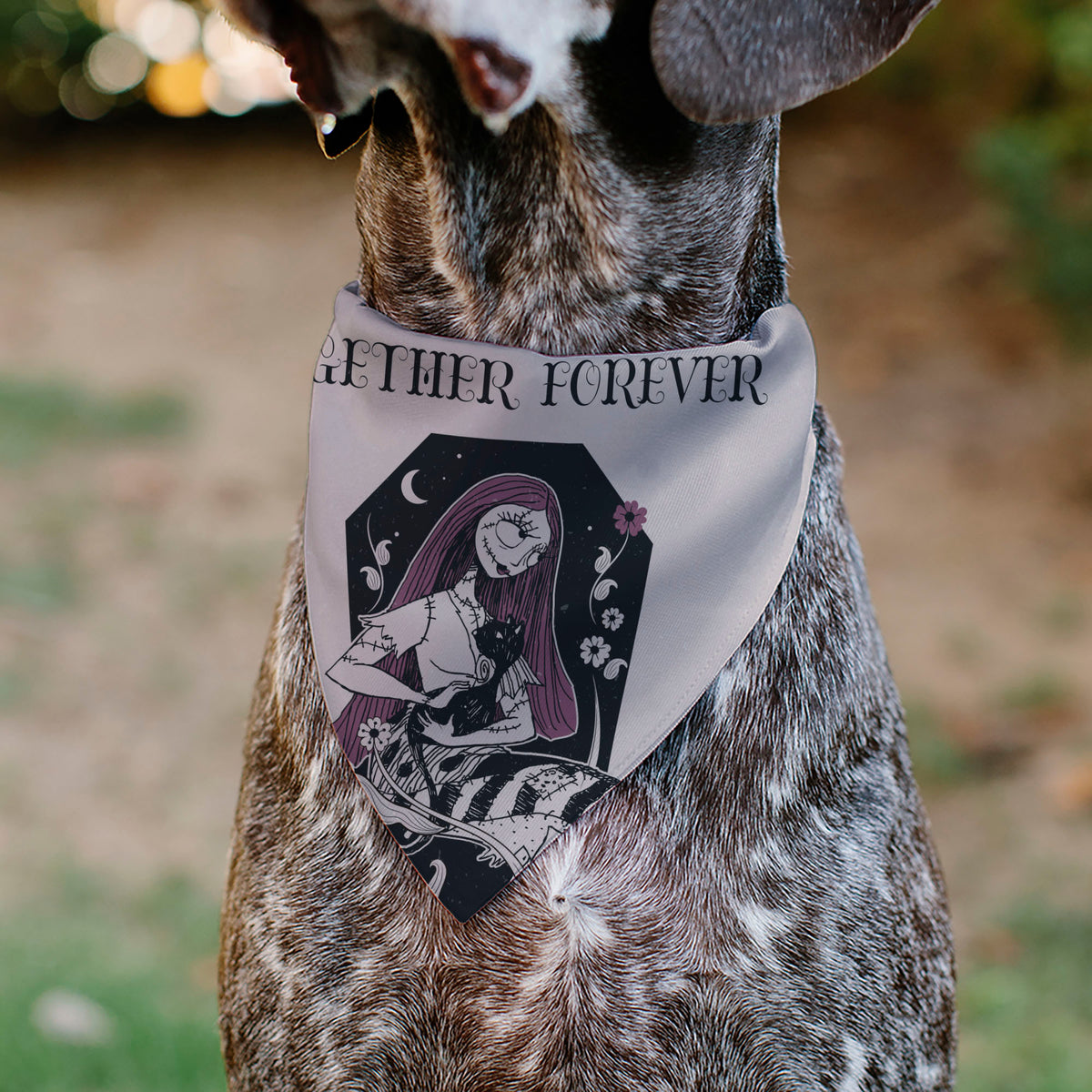 Pet Bandana - The Nightmare Before Christmas Sally and Black Cat TOGETHER FOREVER Pose Pet Bandanas Disney