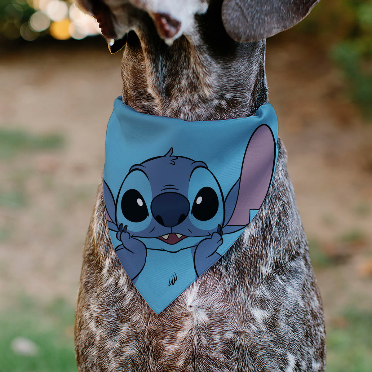 Pet Bandana - Stitch Grinning Pose Blue Pet Bandanas Disney