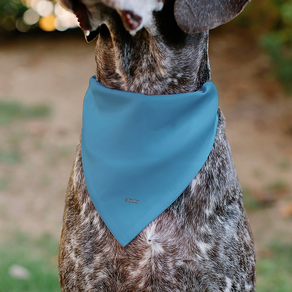 Pet Bandana - Stitch Grinning Pose Blue Pet Bandanas Disney