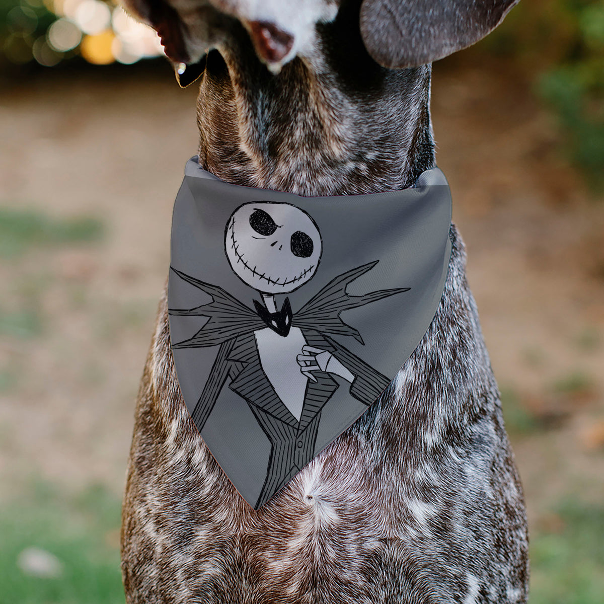 Pet Bandana - The Nightmare Before Christmas JACK Smiling Pose and Text Gray Pet Bandanas Disney