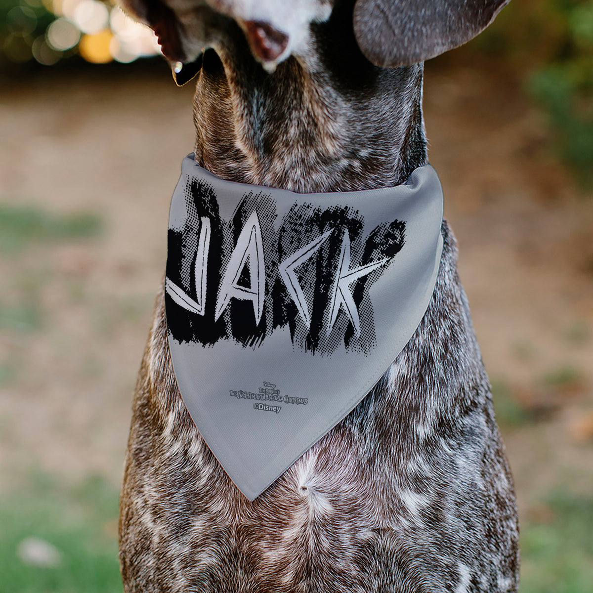 Pet Bandana - The Nightmare Before Christmas JACK Smiling Pose and Text Gray Pet Bandanas Disney