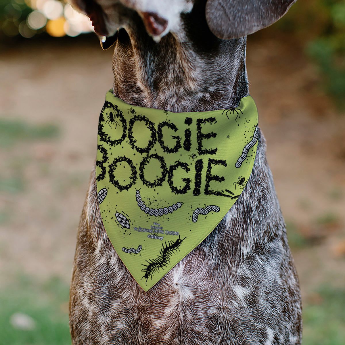 Pet Bandana - The Nightmare Before Christmas OOGIE BOOGIE Pose with Text and Bugs Collage Gray/Lime Green Pet Bandanas Disney