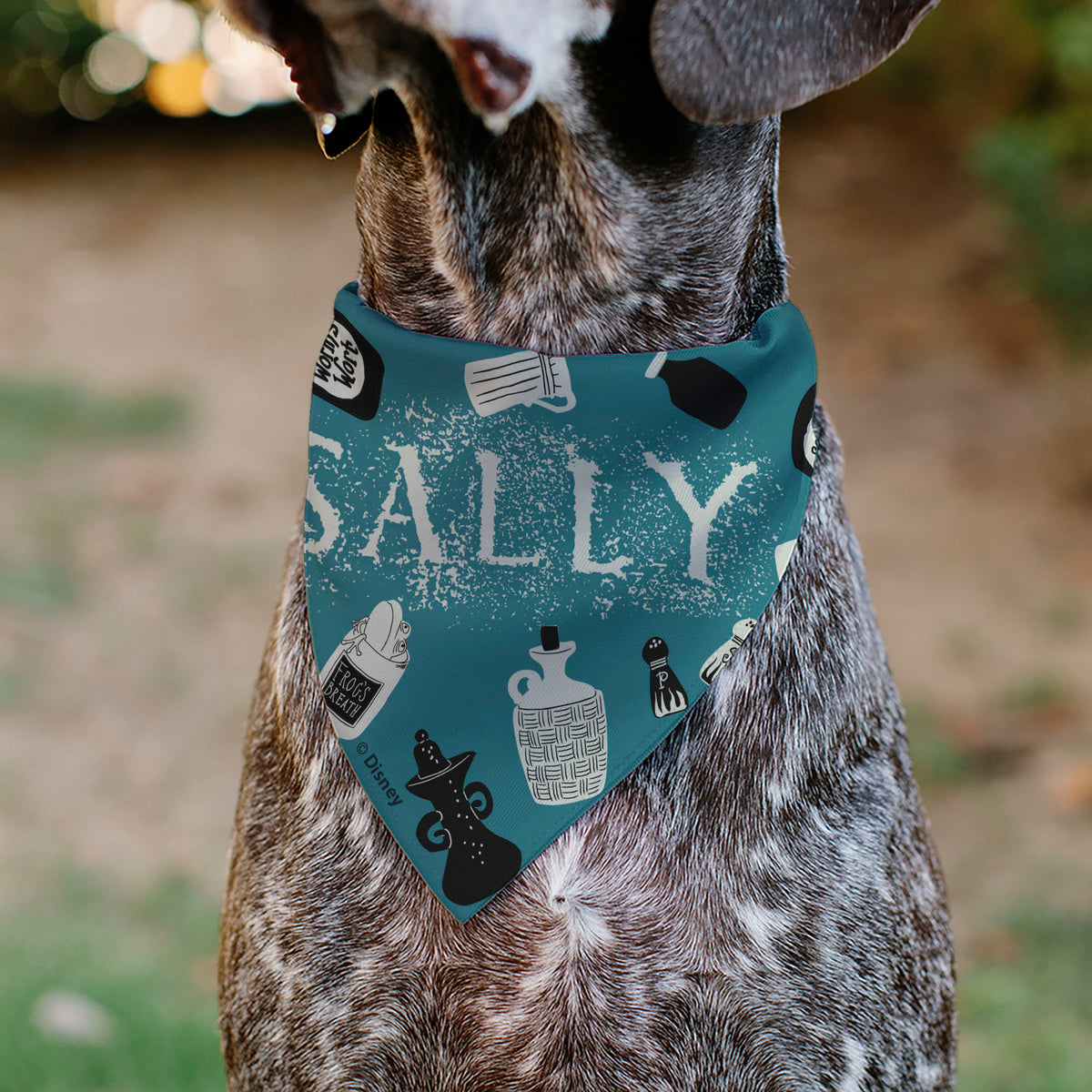 Pet Bandana - The Nightmare Before Christmas SALLY Face with Text and Potions Collage Light Blue Pet Bandanas Disney