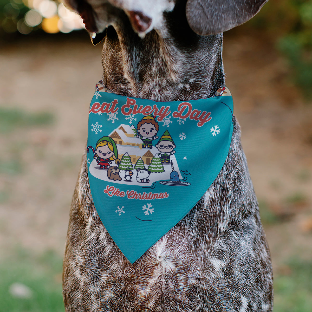 Pet Bandana - Elf TREAT EVERYDAY LIKE CHRISTMAS Buddy and Friends Pose Blue Pet Bandanas Elf