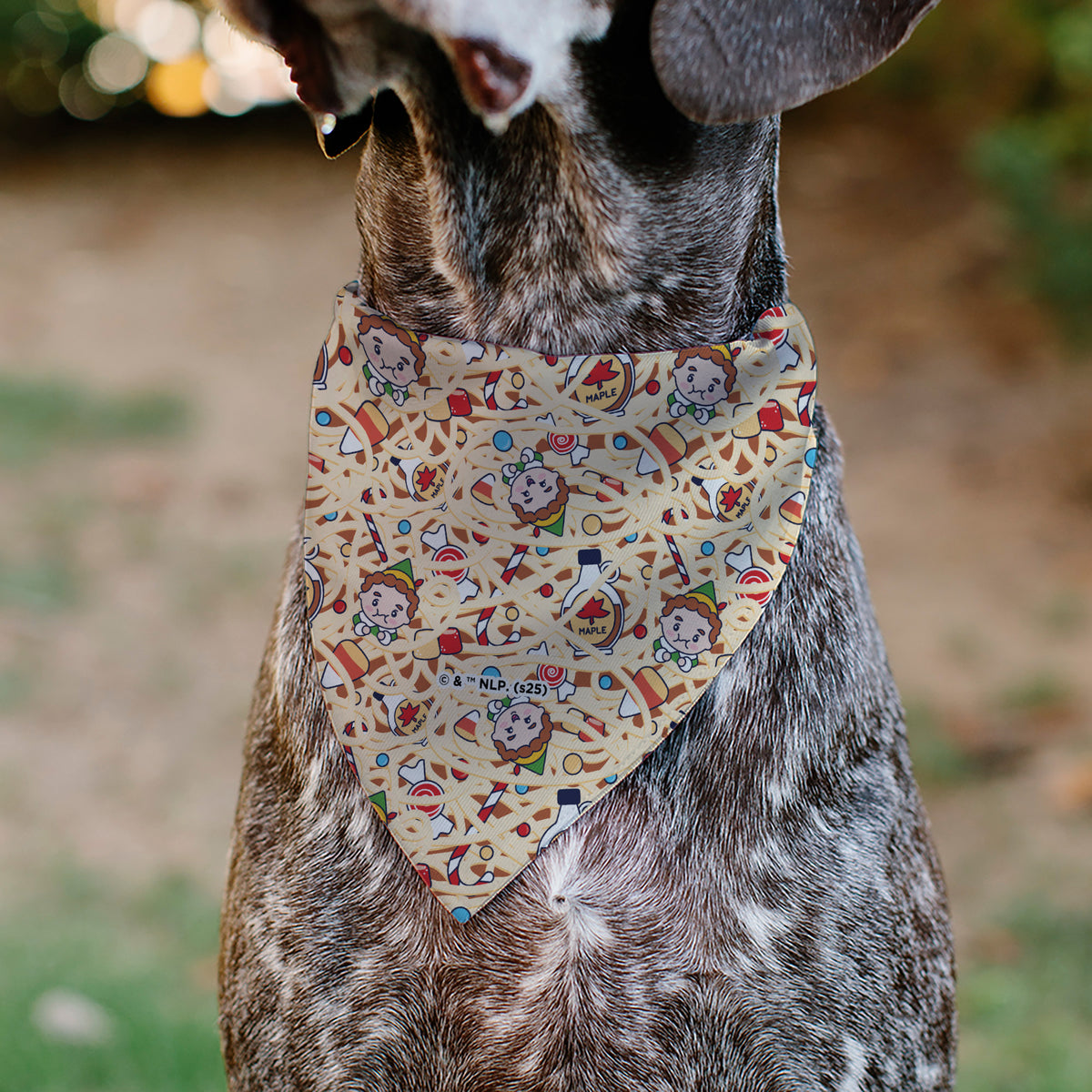 Pet Bandana - Elf TREAT EVERYDAY LIKE CHRISTMAS Buddy and Friends Pose Blue Pet Bandanas Elf