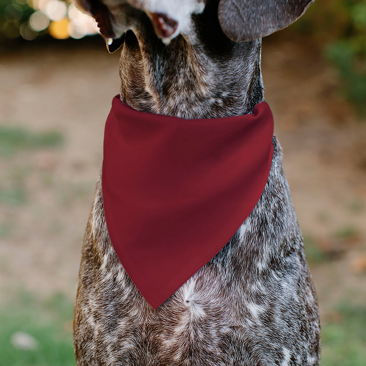 Pet Bandana - Ford Vintage Bronco Logo and Silhouette Red/Black/White Pet Bandanas Ford