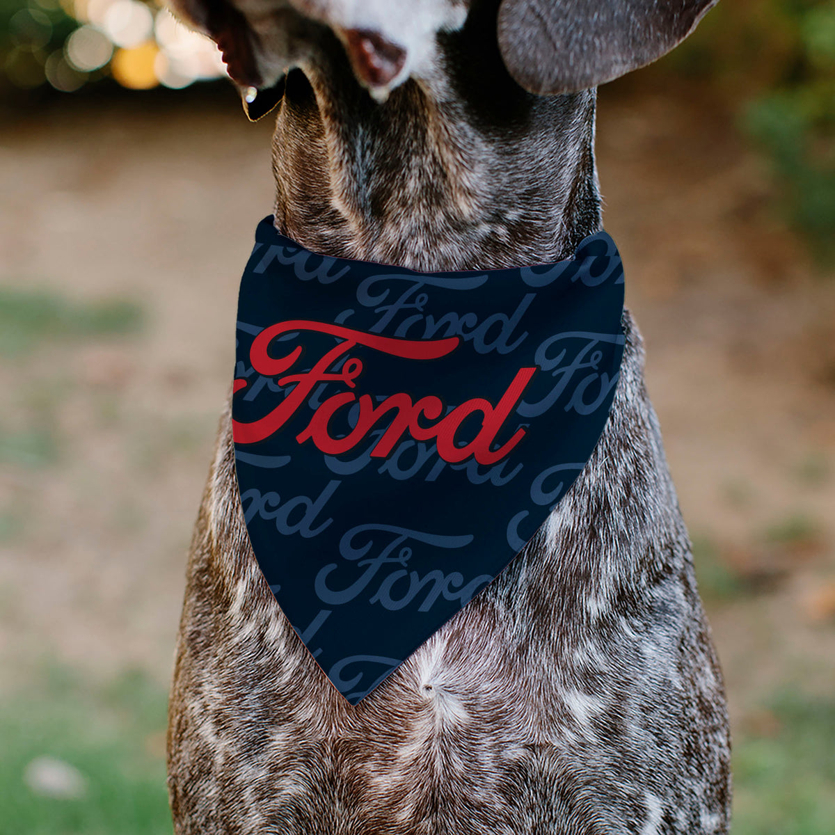 Pet Bandana - FORD Script Stacked Blues/Red Pet Bandanas Ford