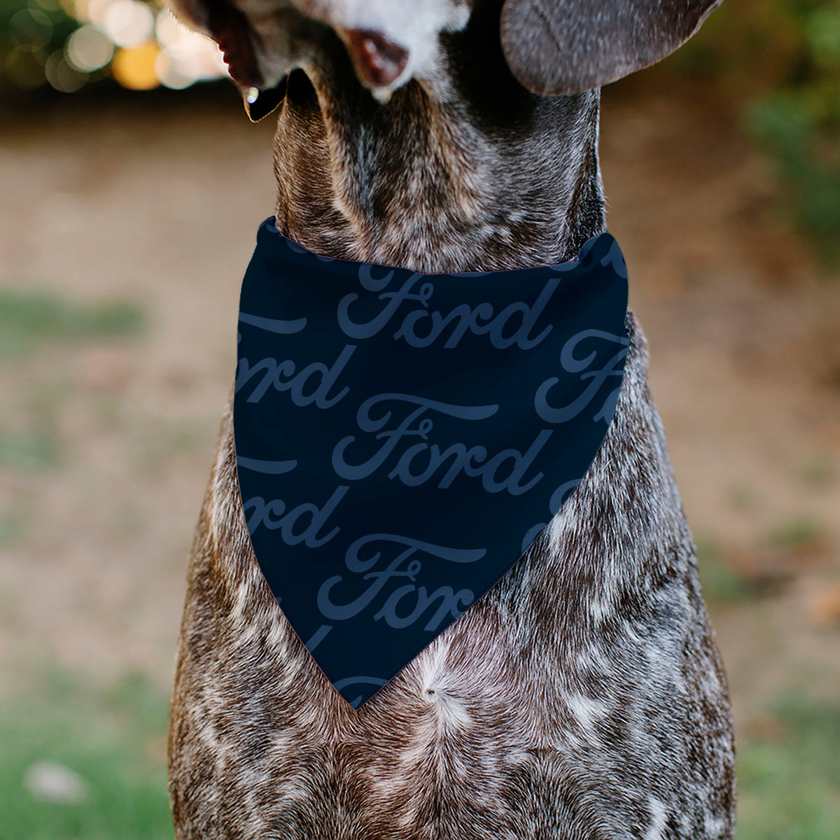 Pet Bandana - FORD Script Stacked Blues/Red Pet Bandanas Ford