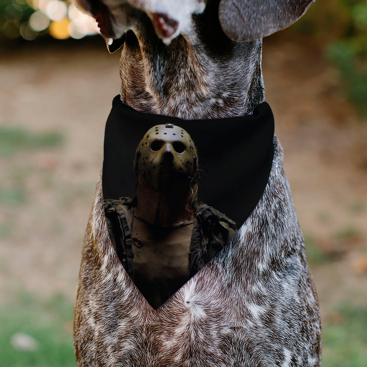 Pet Bandana - FRIDAY THE 13TH Jason Pose and Title Logo Black/Red Pet Bandanas Friday the 13th