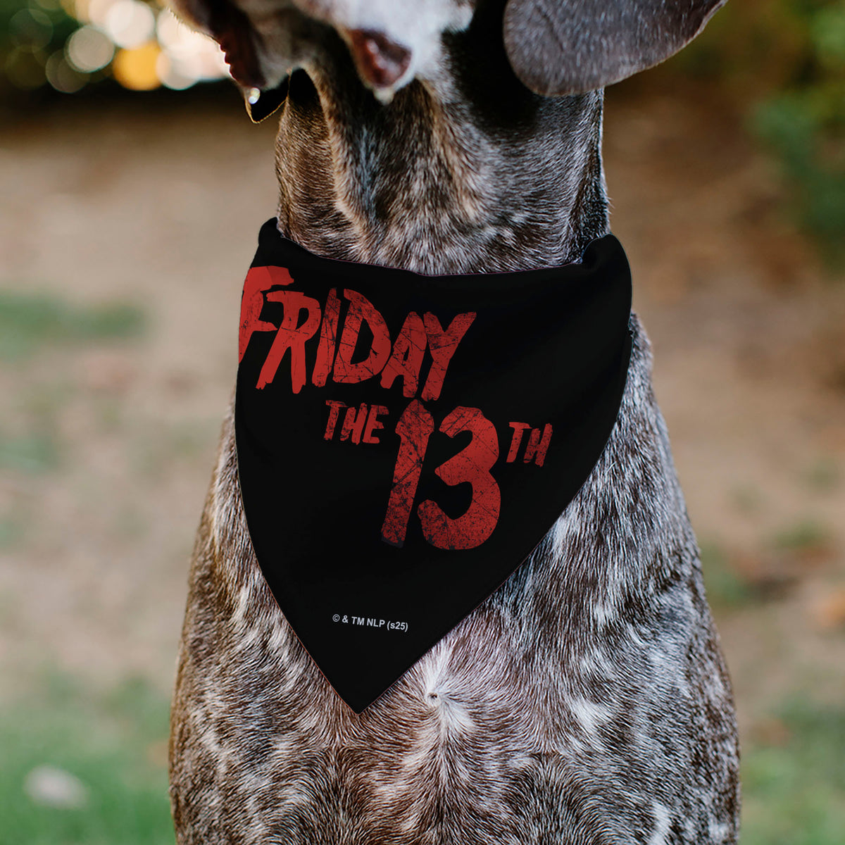 Pet Bandana - FRIDAY THE 13TH Jason Pose and Title Logo Black/Red Pet Bandanas Friday the 13th