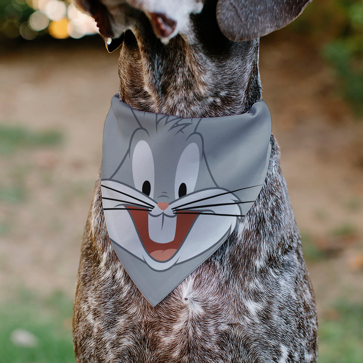 Pet Bandana - LOONEY TUNES Bugs Bunny Face Close-Up Gray Pet Bandanas Looney Tunes
