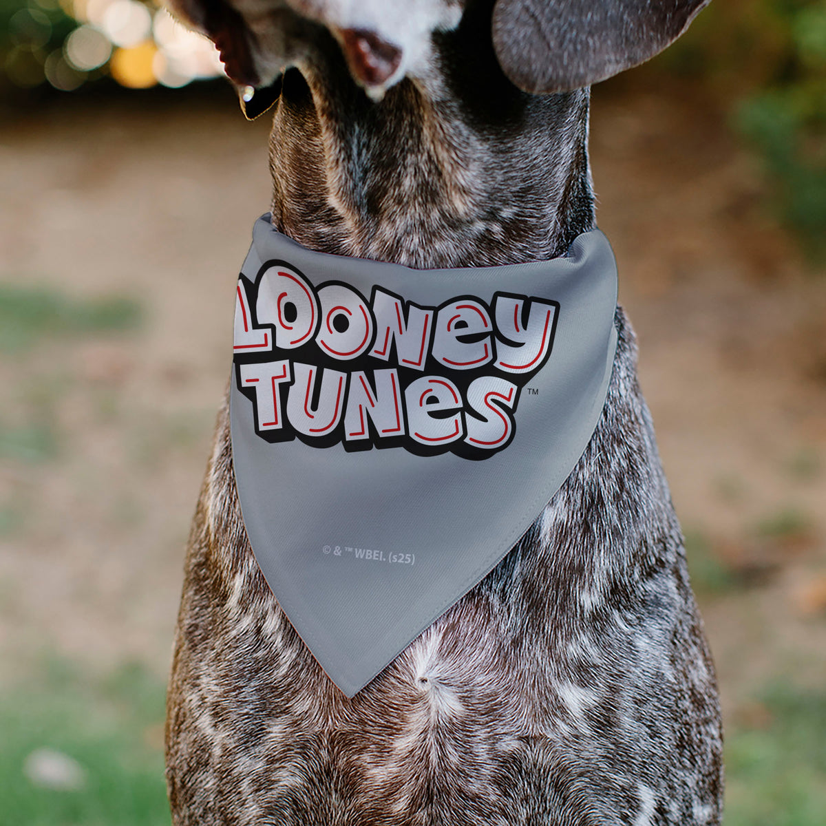 Pet Bandana - LOONEY TUNES Bugs Bunny Face Close-Up Gray Pet Bandanas Looney Tunes