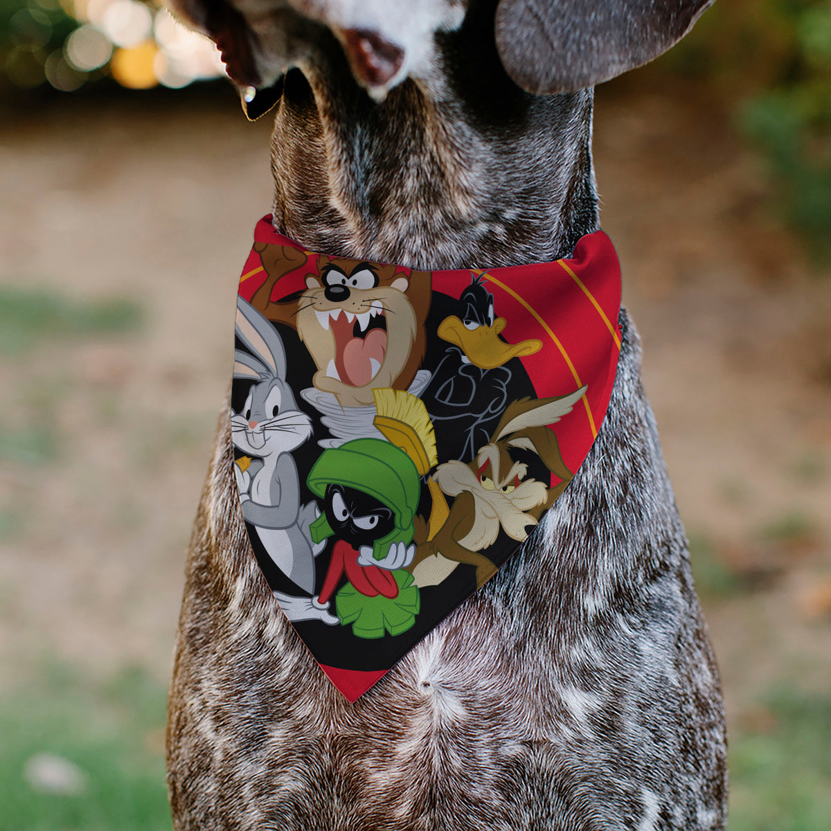 Pet Bandana - LOONEY TUNES Five Character Target Close-Up Pose Red Pet Bandanas Looney Tunes