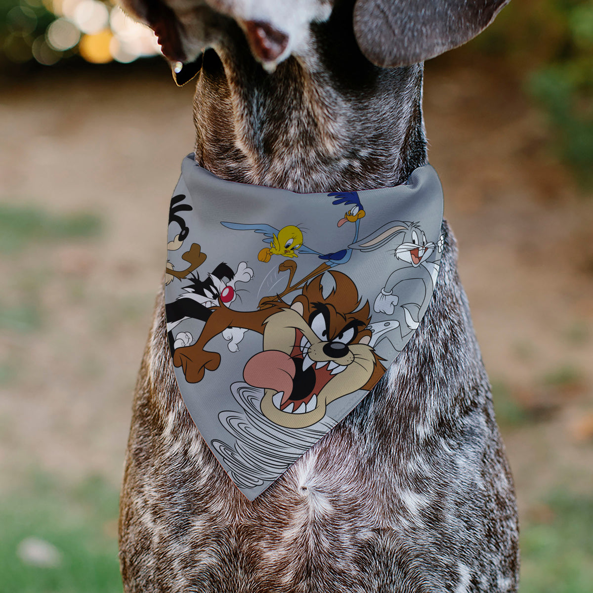 Pet Bandana - LOONEY TUNES Seven Character Running Pose Gray Pet Bandanas Looney Tunes