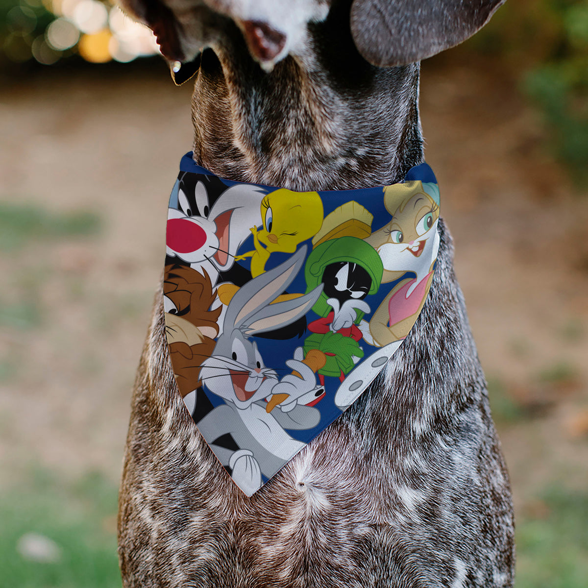 Pet Bandana - LOONEY TUNES Seven Character Stack Pose Blue Pet Bandanas Looney Tunes