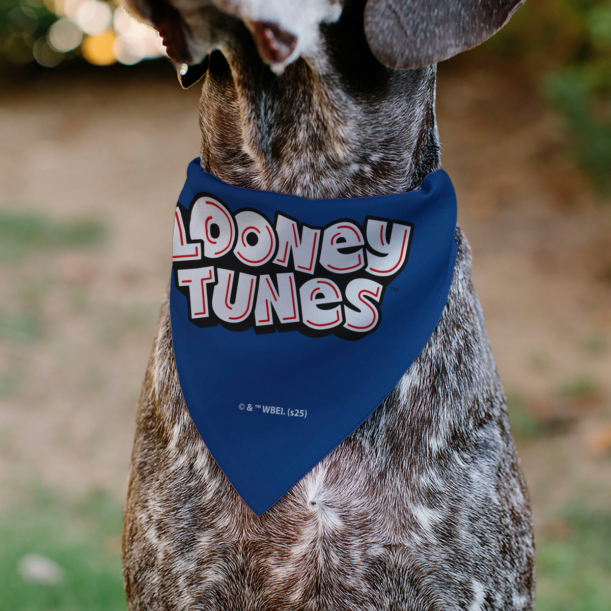 Pet Bandana - LOONEY TUNES Seven Character Stack Pose Blue Pet Bandanas Looney Tunes