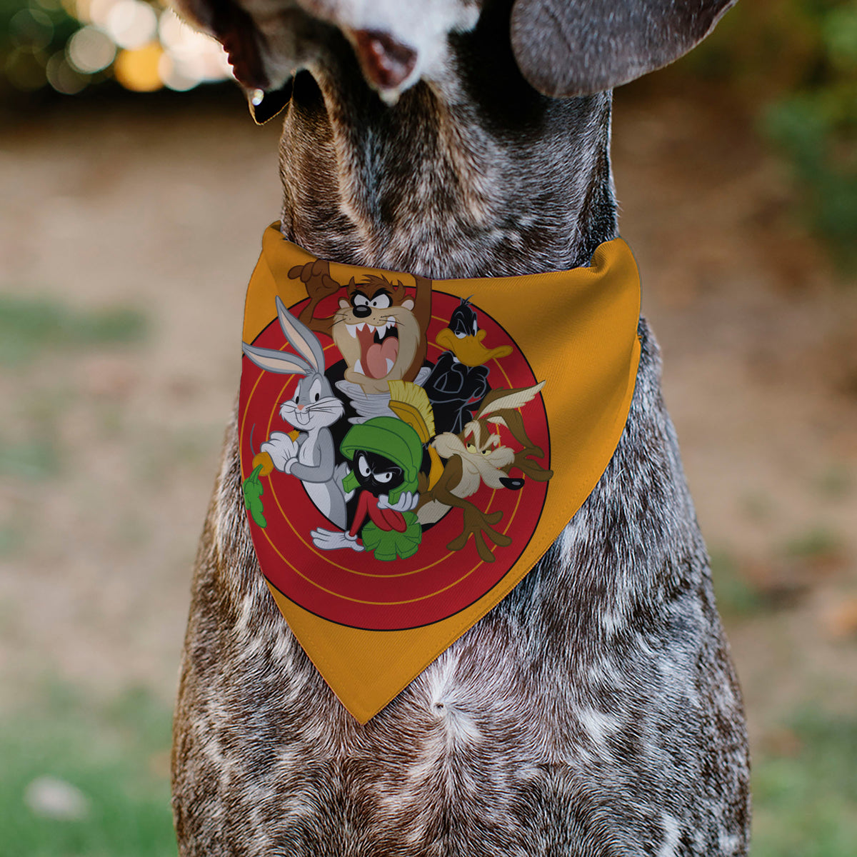 Pet Bandana - LOONEY TUNES Five Character Target Pose Orange Pet Bandanas Looney Tunes