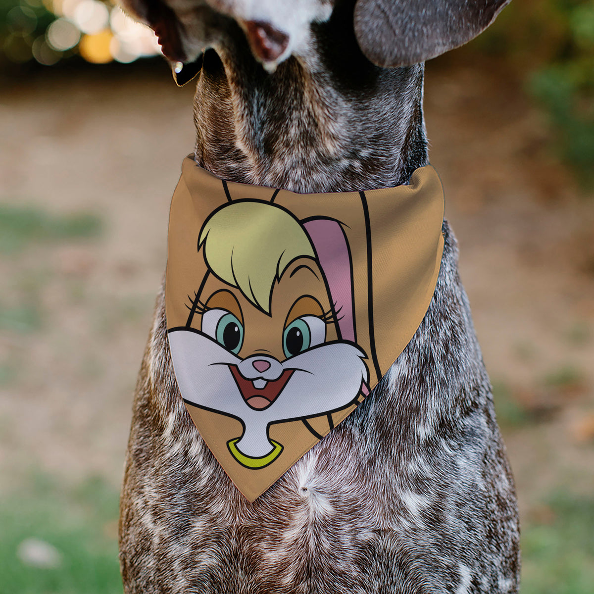 Pet Bandana - LOONEY TUNES Lola Bunny Face Close-Up Peach Pet Bandanas Looney Tunes