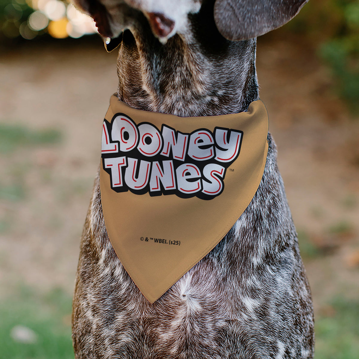 Pet Bandana - LOONEY TUNES Lola Bunny Face Close-Up Peach Pet Bandanas Looney Tunes
