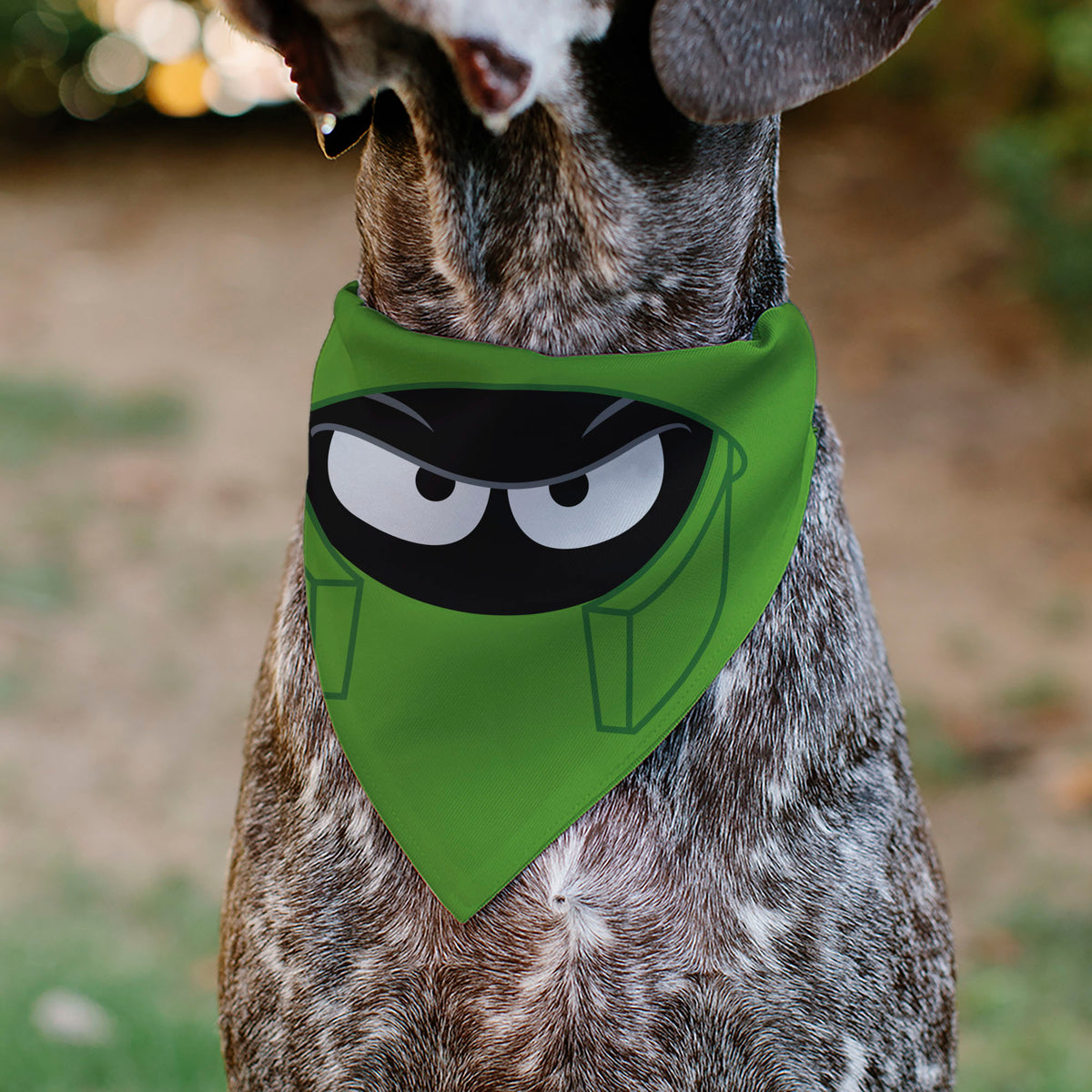 Pet Bandana - LOONEY TUNES Marvin the Martian Face Close-Up Green Pet Bandanas Looney Tunes