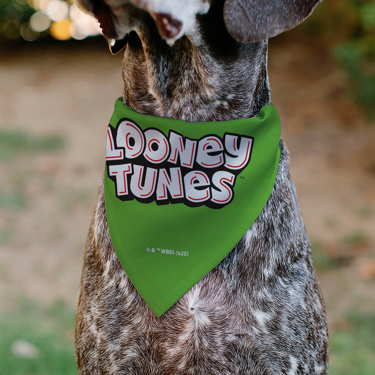 Pet Bandana - LOONEY TUNES Marvin the Martian Face Close-Up Green Pet Bandanas Looney Tunes