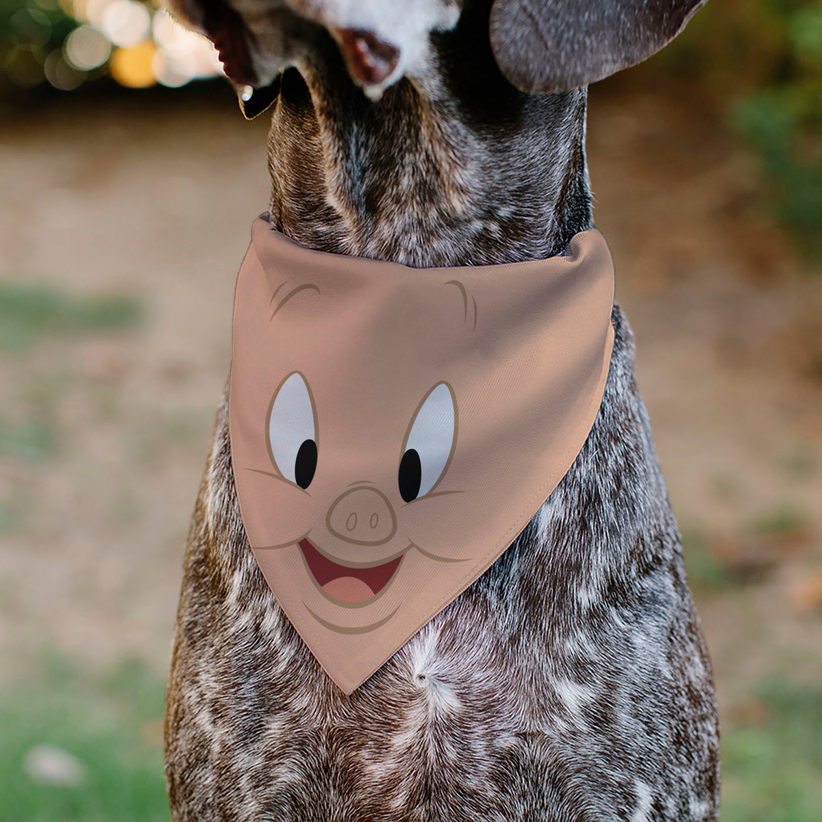 Pet Bandana - LOONEY TUNES Porky Pig Face Close-Up Peach Pet Bandanas Looney Tunes