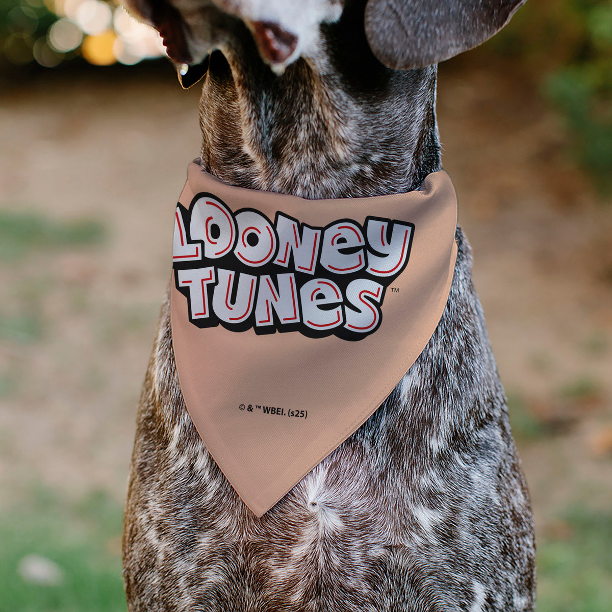 Pet Bandana - LOONEY TUNES Porky Pig Face Close-Up Peach Pet Bandanas Looney Tunes
