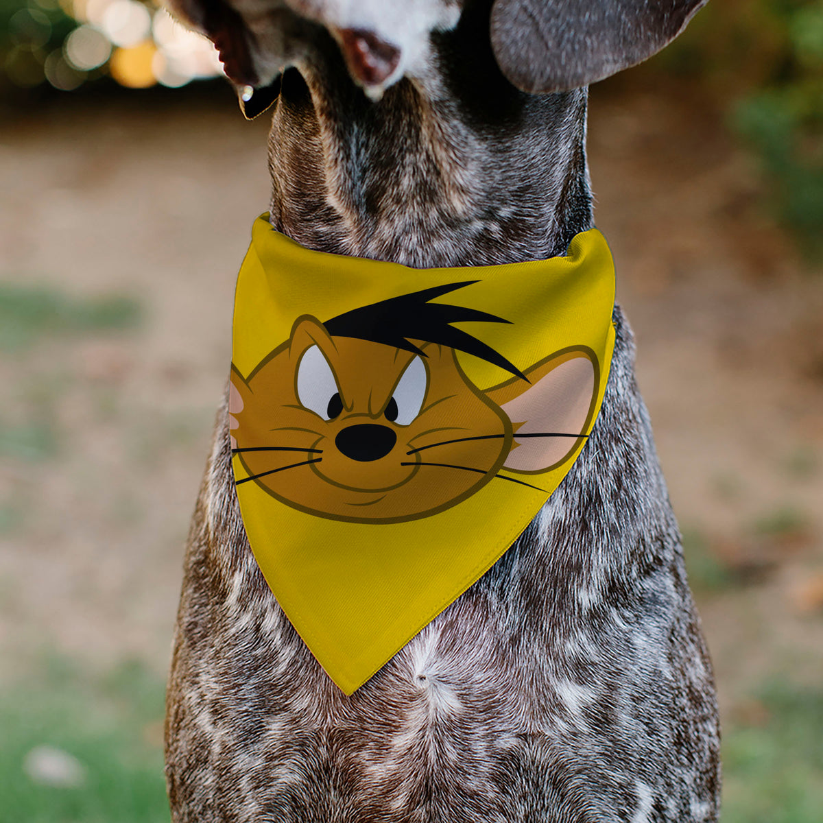 Pet Bandana - LOONEY TUNES Speedy Gonzales Face Close-Up Yellow Pet Bandanas Looney Tunes