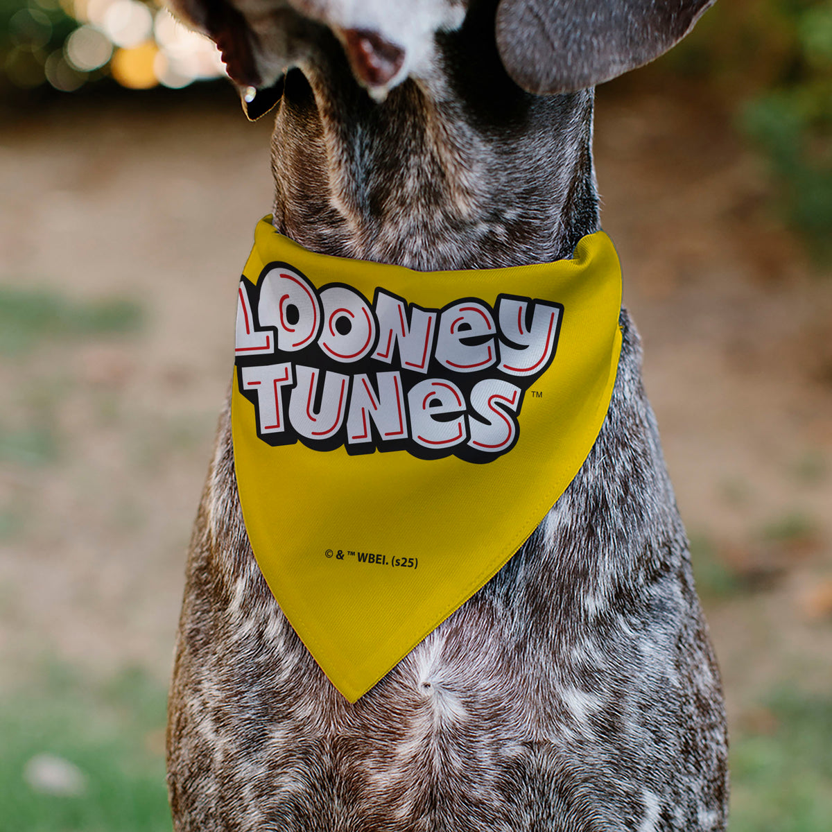Pet Bandana - LOONEY TUNES Speedy Gonzales Face Close-Up Yellow Pet Bandanas Looney Tunes
