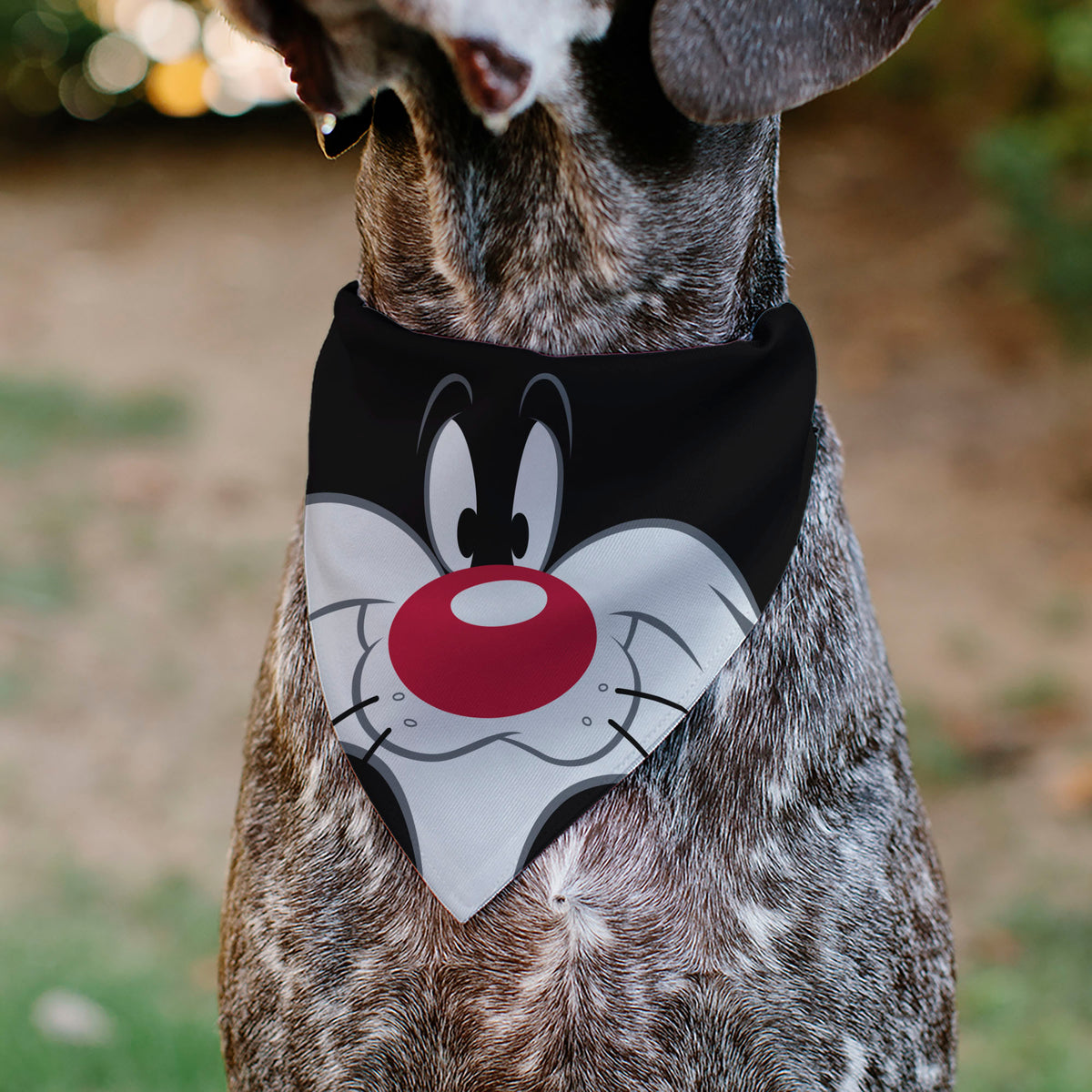 Pet Bandana - LOONEY TUNES Sylvester the Cat Face Close-Up Black Pet Bandanas Looney Tunes