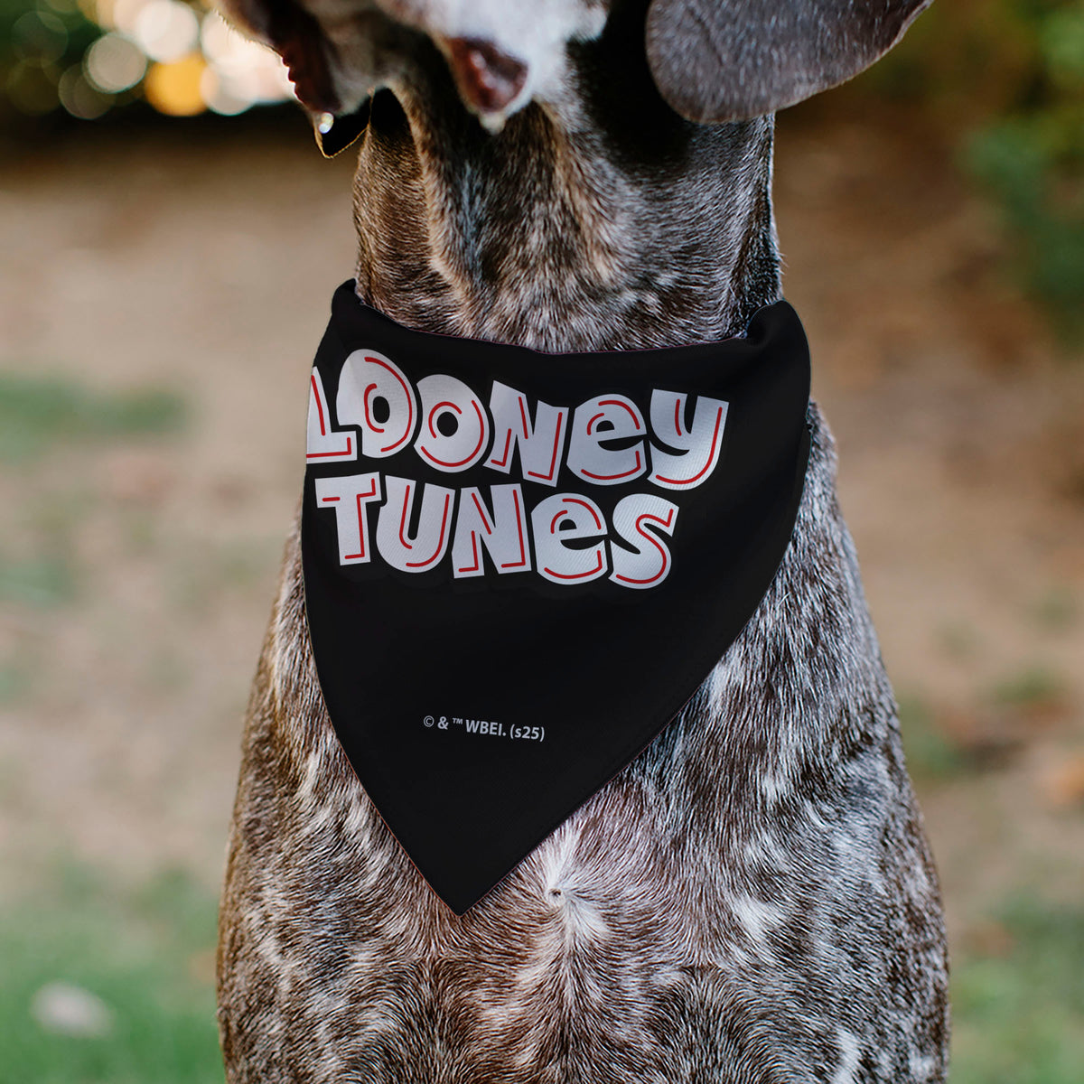 Pet Bandana - LOONEY TUNES Sylvester the Cat Face Close-Up Black Pet Bandanas Looney Tunes