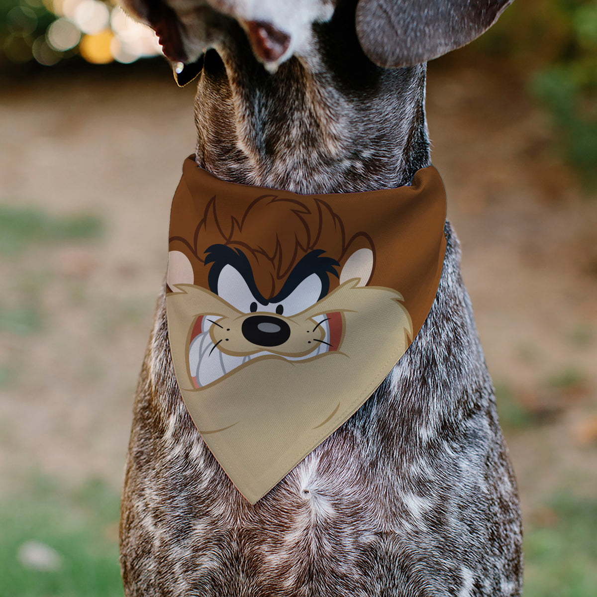 Pet Bandana - LOONEY TUNES Taz Tasmanian Devil Face Close-Up Brown Pet Bandanas Looney Tunes