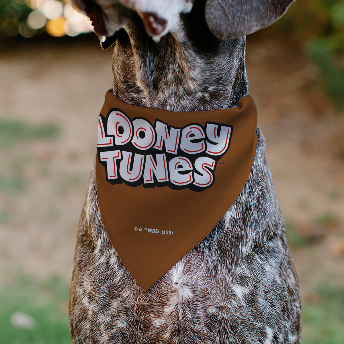 Pet Bandana - LOONEY TUNES Taz Tasmanian Devil Face Close-Up Brown Pet Bandanas Looney Tunes