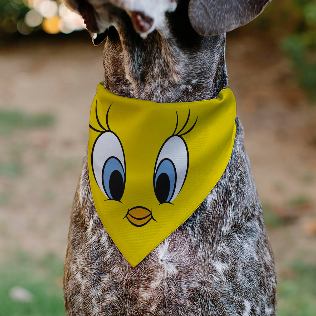 Pet Bandana - LOONEY TUNES Tweety Bird Face Close-Up Yellow Pet Bandanas Looney Tunes