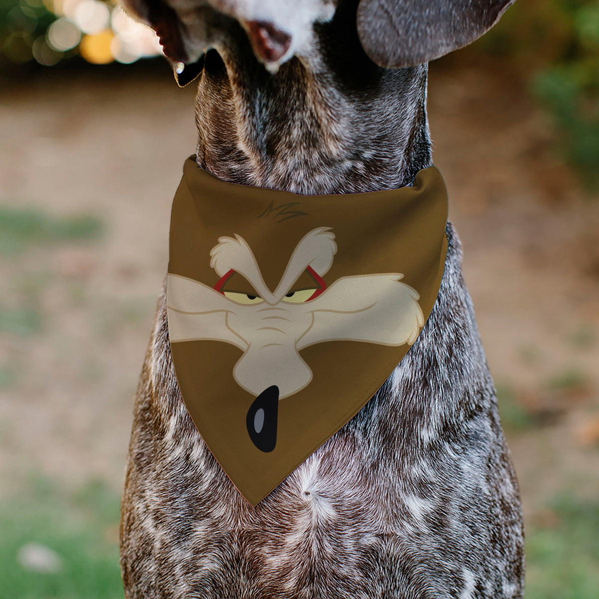 Pet Bandana - LOONEY TUNES Wile E. Coyote Face Close-Up Brown Pet Bandanas Looney Tunes
