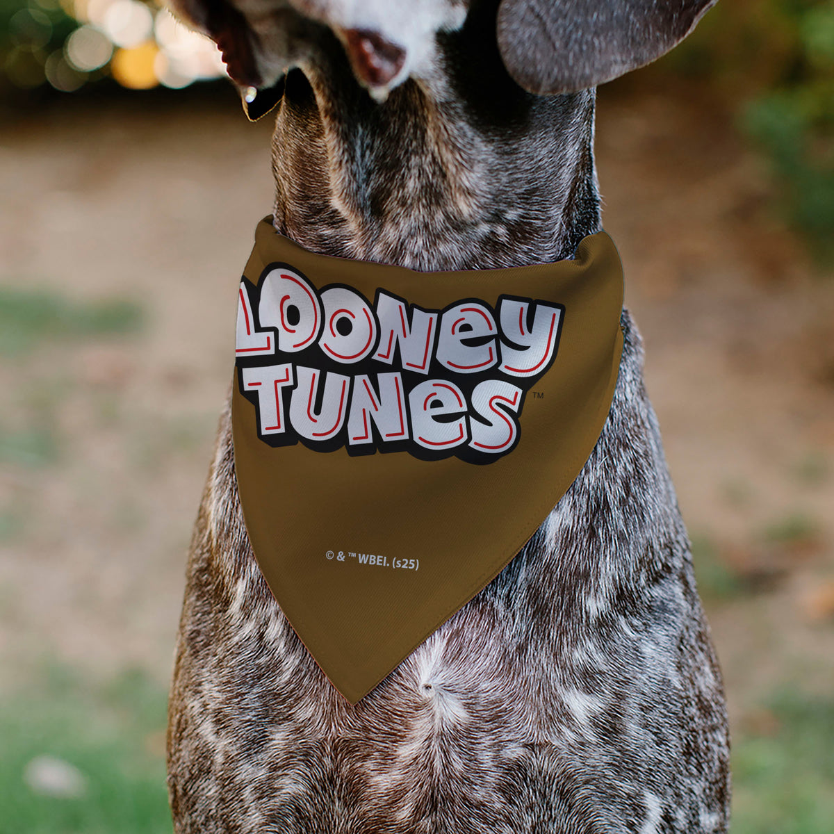 Pet Bandana - LOONEY TUNES Wile E. Coyote Face Close-Up Brown Pet Bandanas Looney Tunes