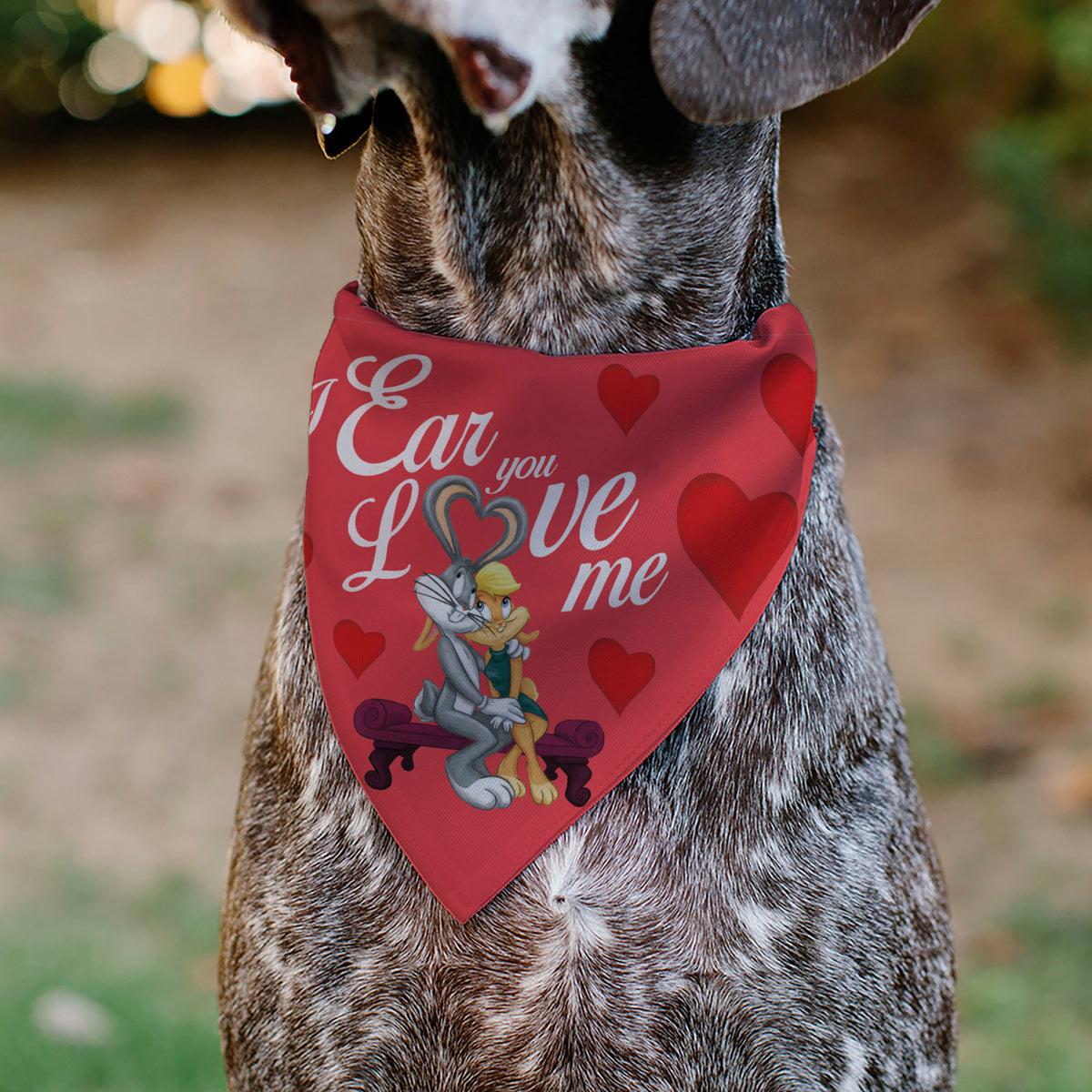 Pet Bandana - Bugs Bunny and Lola Bunny I EAR YOU LOVE ME Pose Hearts and Title Logo Reds Pet Bandanas Looney Tunes