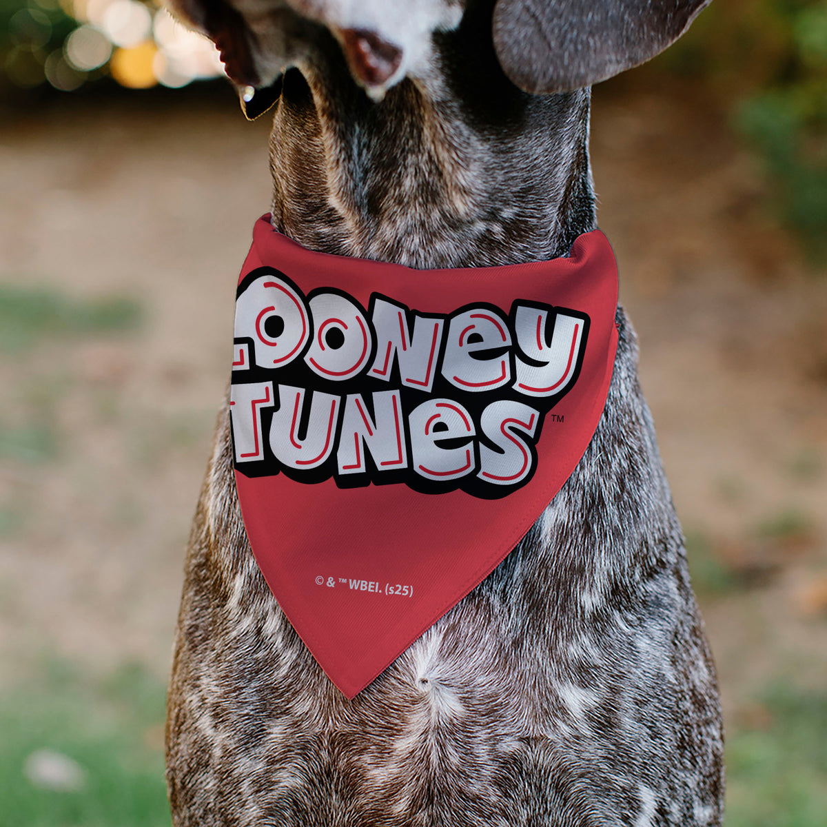 Pet Bandana - Bugs Bunny and Lola Bunny I EAR YOU LOVE ME Pose Hearts and Title Logo Reds Pet Bandanas Looney Tunes