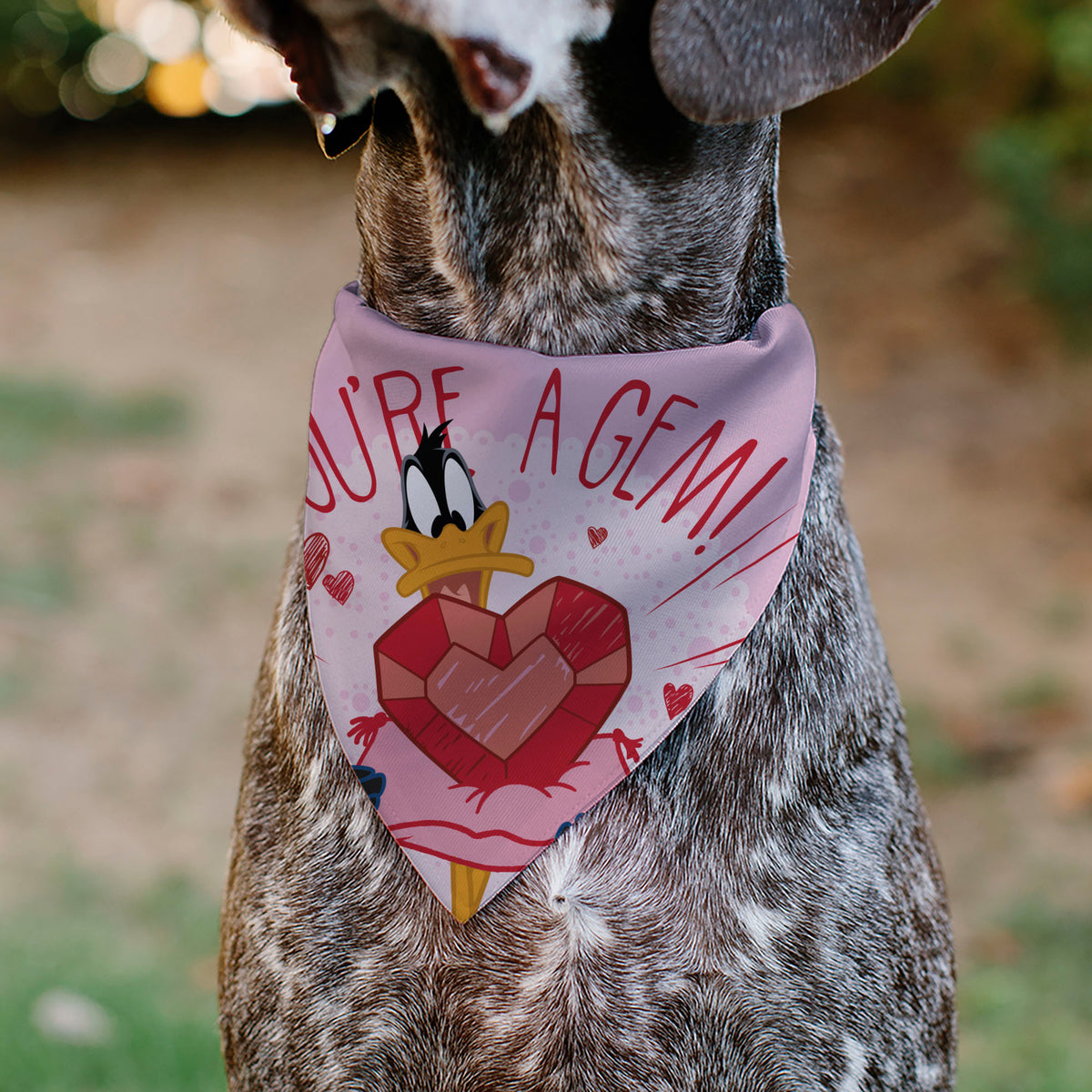 Pet Bandana - Daffy Duck YOU'RE A GEM Heart Pose and Title Logo Pink Pet Bandanas Looney Tunes