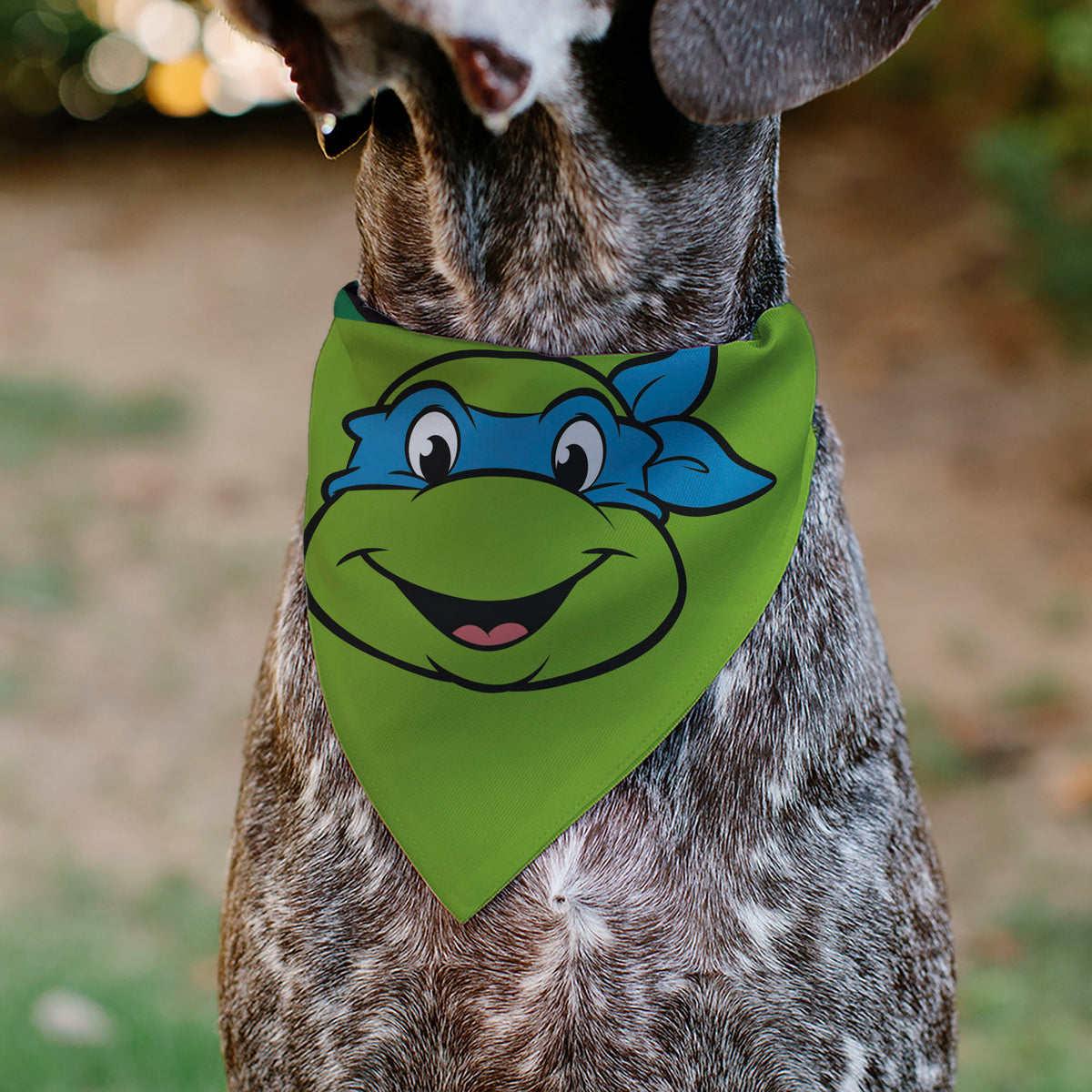 Pet Bandana - Ninja Turtles Leonardo Face and Turtle Shell Character Close-Up Green Pet Bandanas Teenage Mutant Ninja Turtles