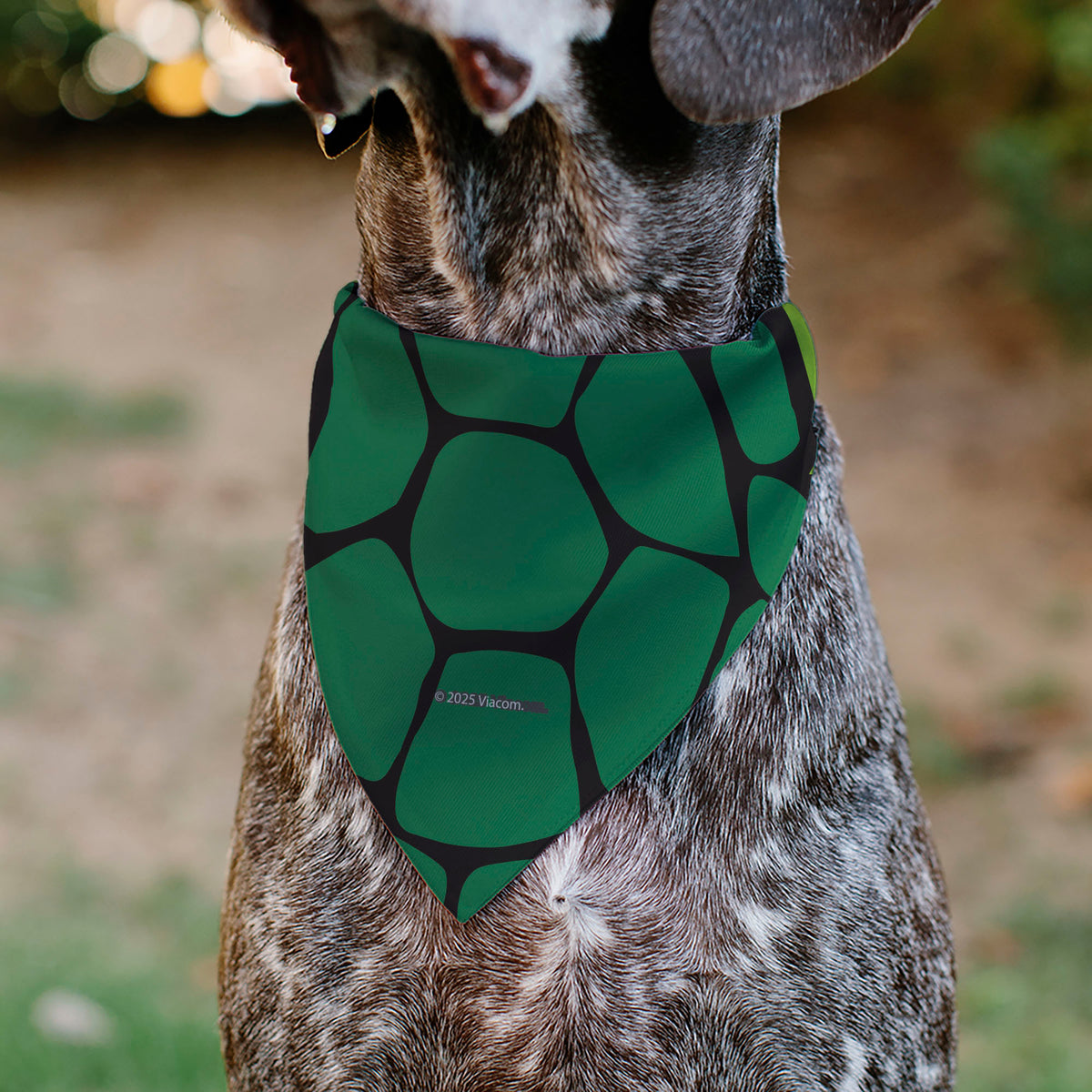 Pet Bandana - Ninja Turtles Leonardo Face and Turtle Shell Character Close-Up Green Pet Bandanas Teenage Mutant Ninja Turtles