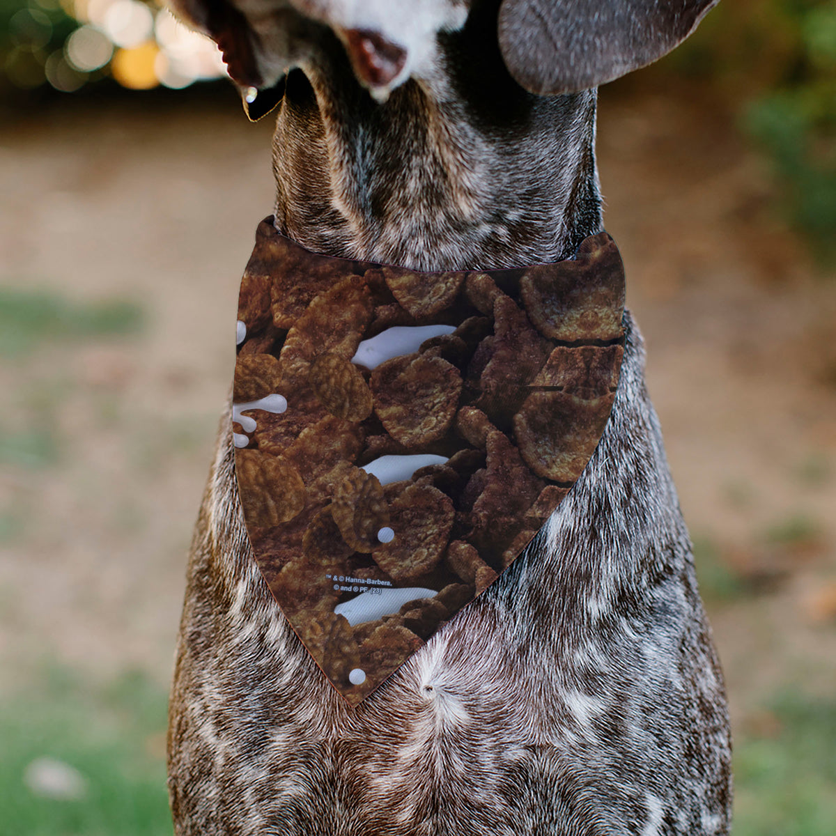Pet Bandana - COCOA PEBBLES Fred Flintstone and Barney Rubble Cereal Box Print and Vivid Cereal Brown Pet Bandanas The Flintstones