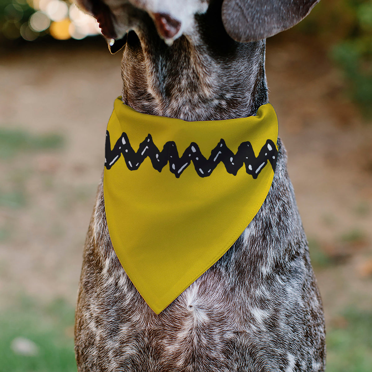 Charlie Brown Zig Zag Stripe Pet Bandana – Peanuts Fan Gear Yellow/Black Pet Bandanas Peanuts