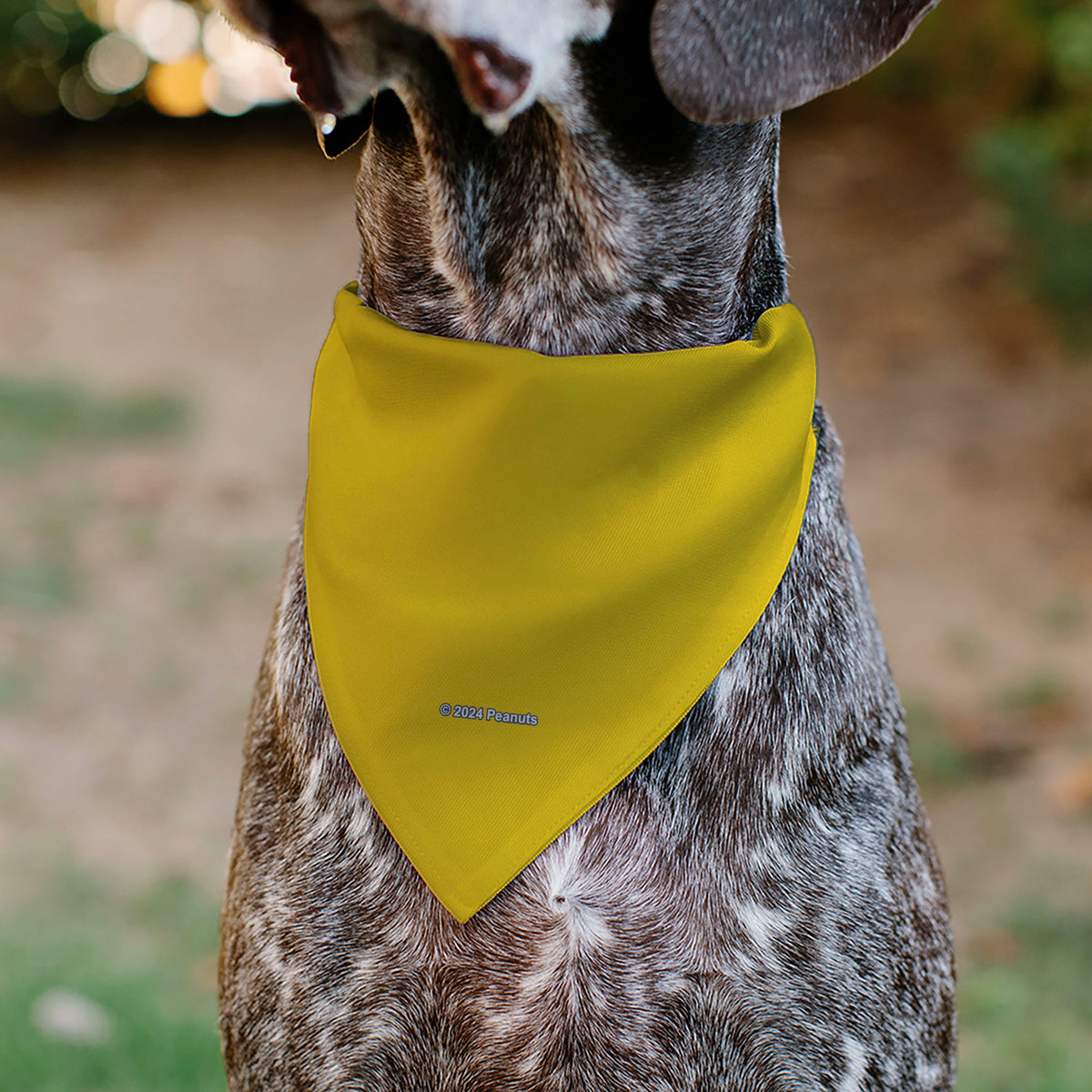 Charlie Brown Zig Zag Stripe Pet Bandana – Peanuts Fan Gear Yellow/Black Pet Bandanas Peanuts