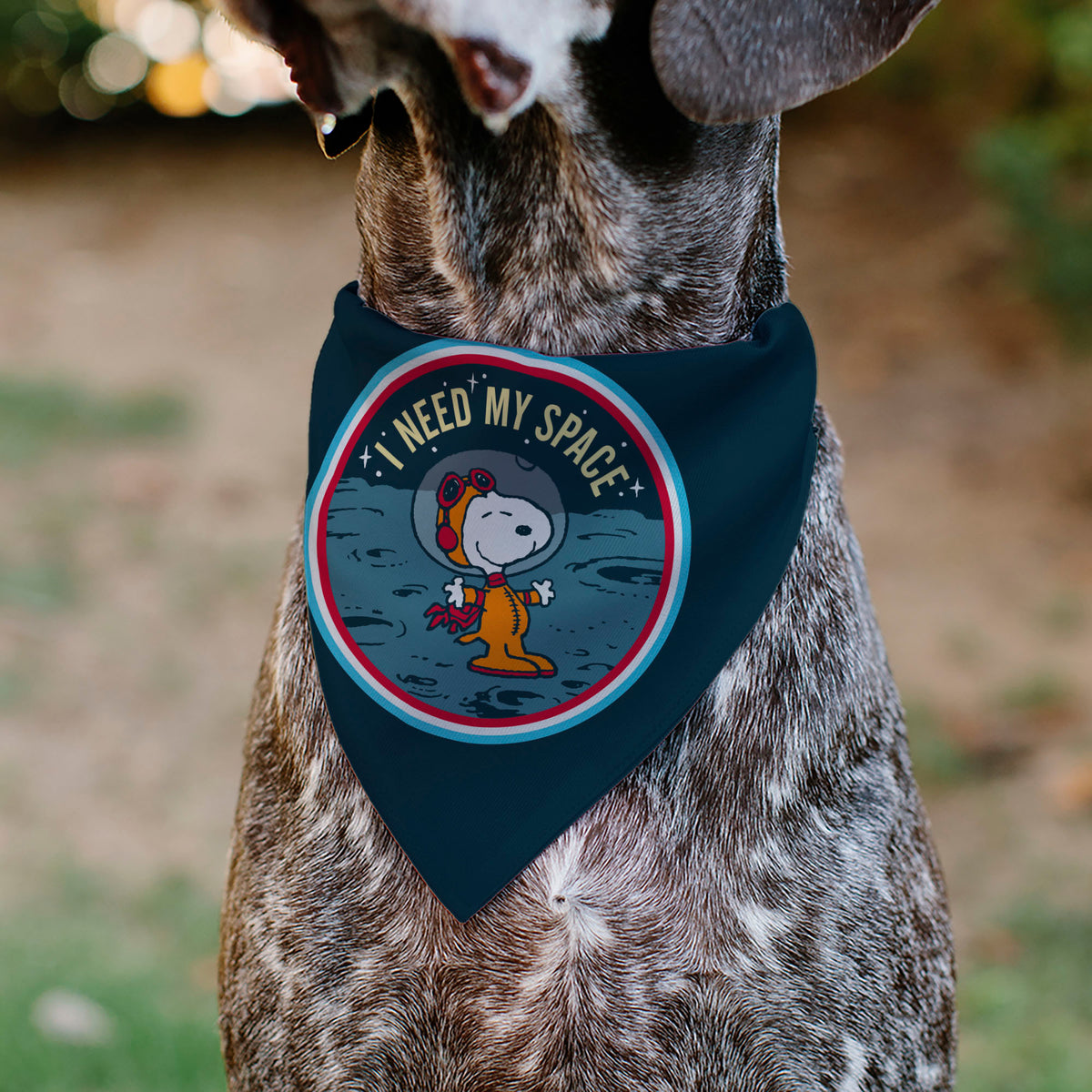 Astronaut Snoopy I Need My Space Pet Bandana – Peanuts Fan Gear Blue Pet Bandanas Peanuts