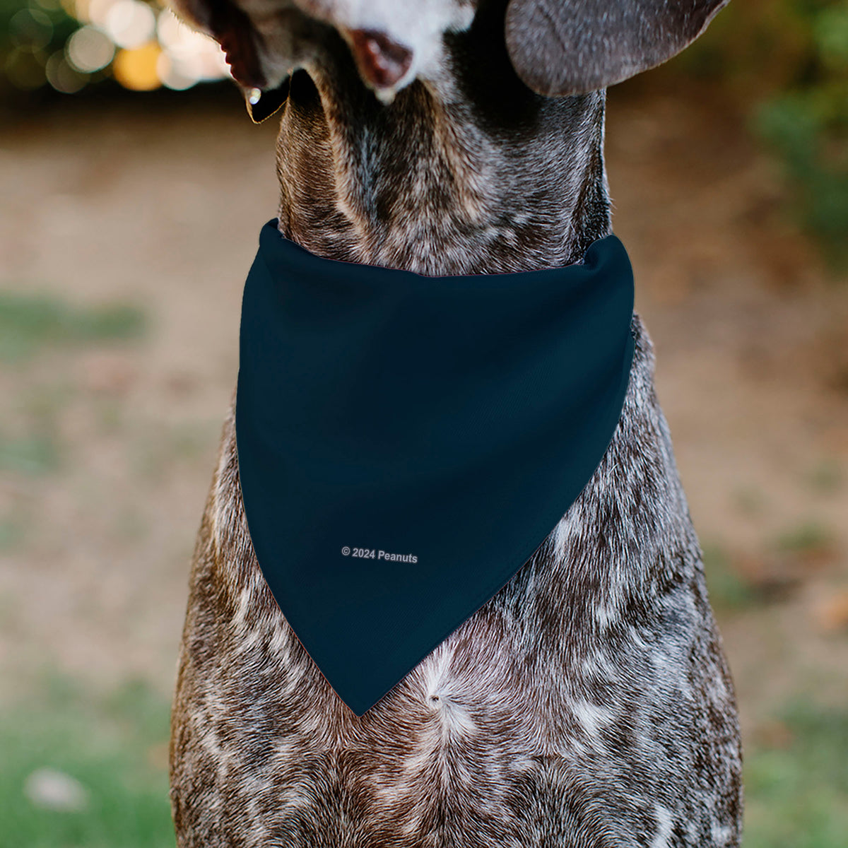 Astronaut Snoopy I Need My Space Pet Bandana – Peanuts Fan Gear Blue Pet Bandanas Peanuts