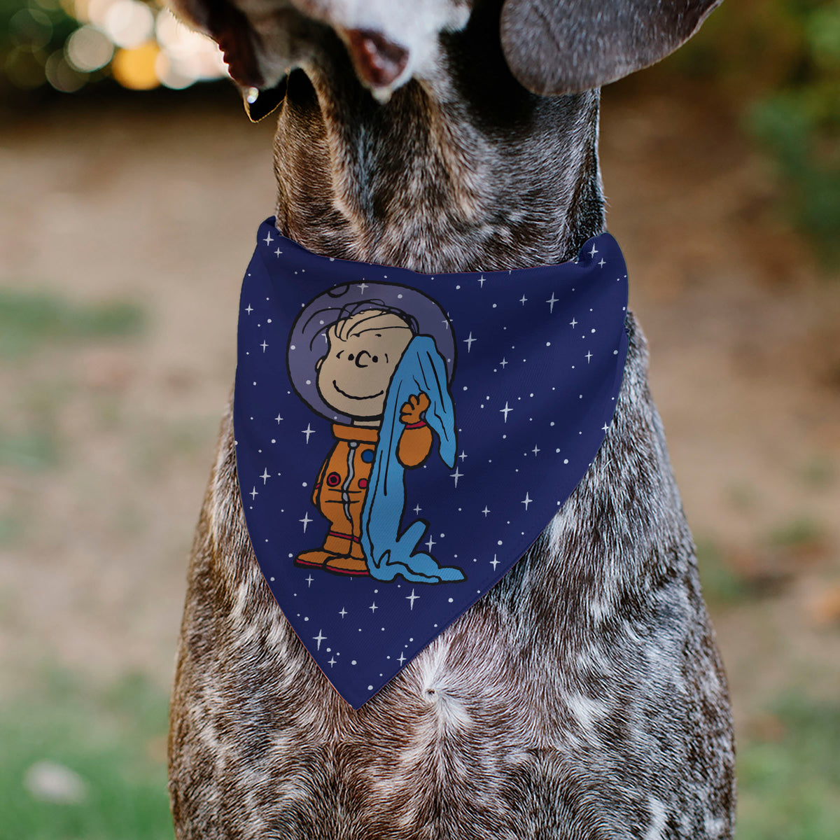 Astronaut Linus Security Blanket Space Pet Bandana – Peanuts Fan Gear Blue Pet Bandanas Peanuts