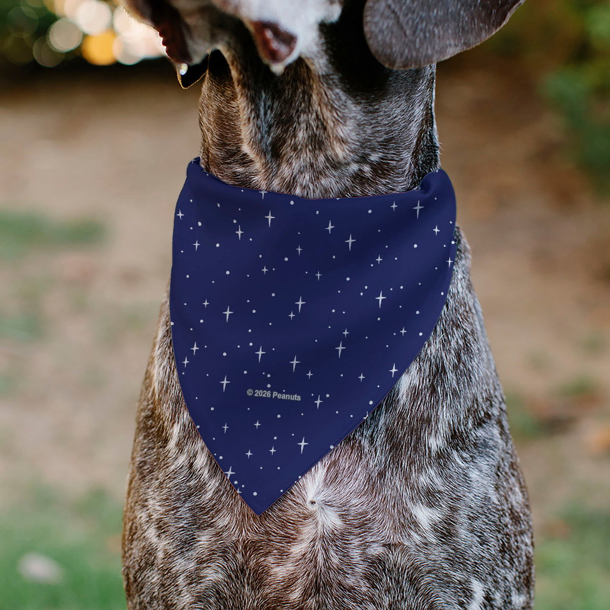 Astronaut Linus Security Blanket Space Pet Bandana – Peanuts Fan Gear Blue Pet Bandanas Peanuts