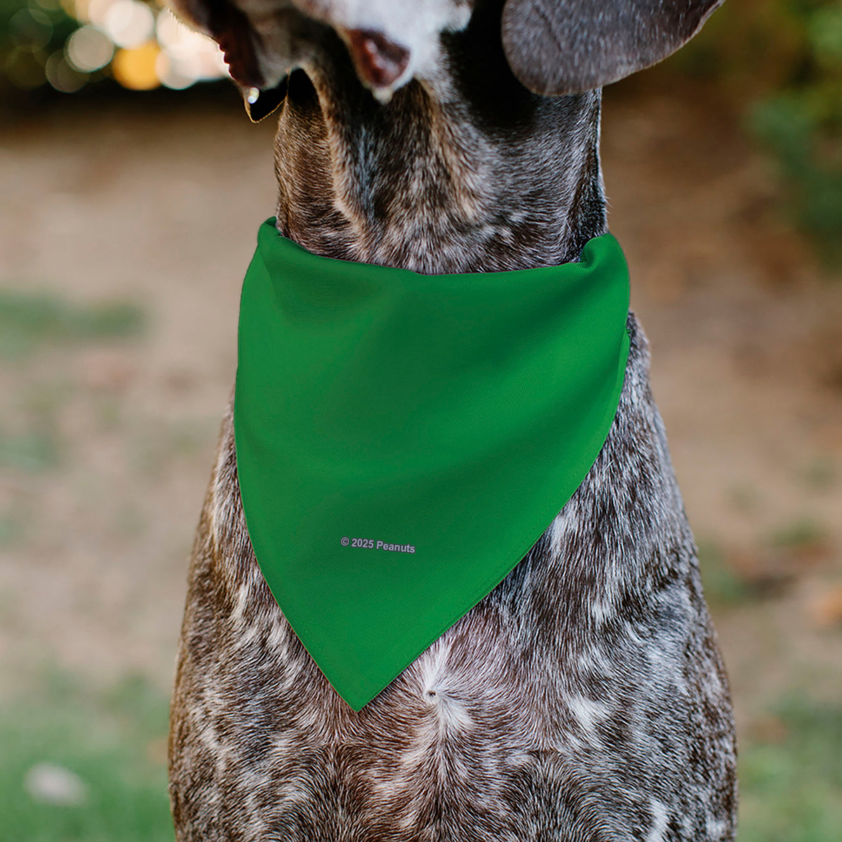 Pet Bandana - Peanuts Peppermint Patty Smiling Face Pose Green Pet Bandanas Peanuts